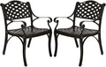 YUSING Outdoor Dining Chairs Set of 2, Cast Aluminum Metal Arm Chairs by YUYUSING