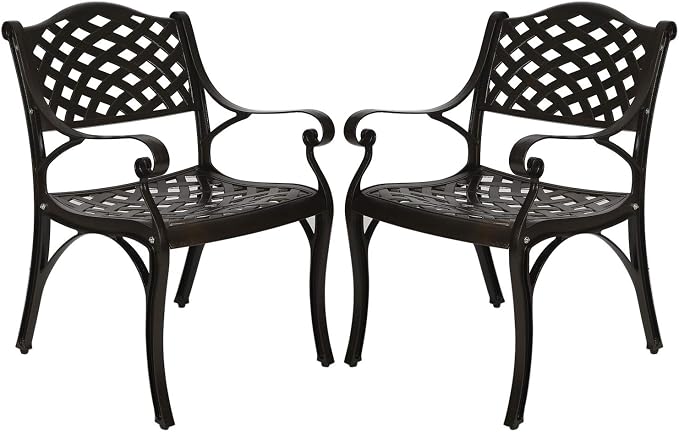 YUSING Outdoor Dining Chairs Set of 2, Cast Aluminum Metal Arm Chairs by YUYUSING