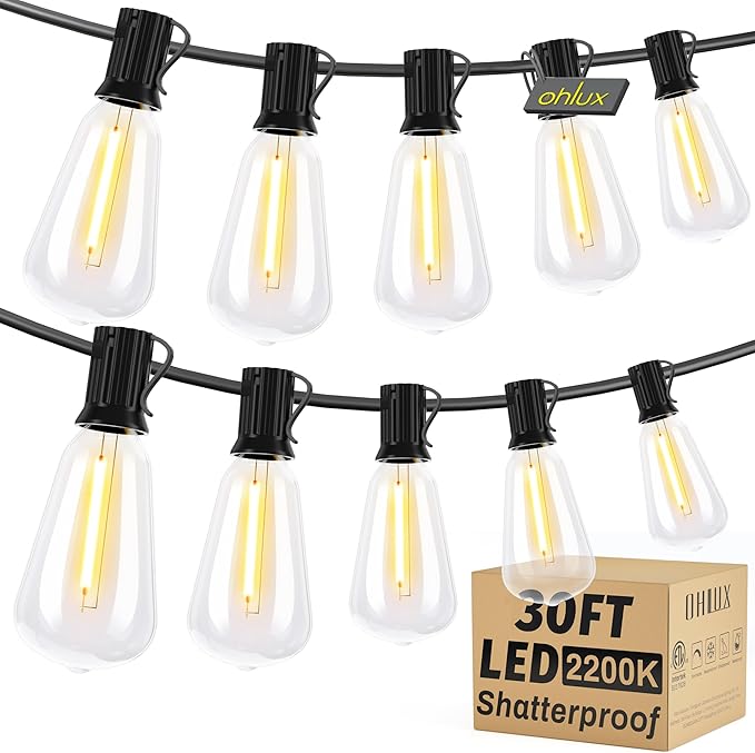 OHLUX Outdoor Light String, 30FT Dimmable Outdoor String Lights by OHLUX-YourIndoorOutdoorSpaceLightingPartner