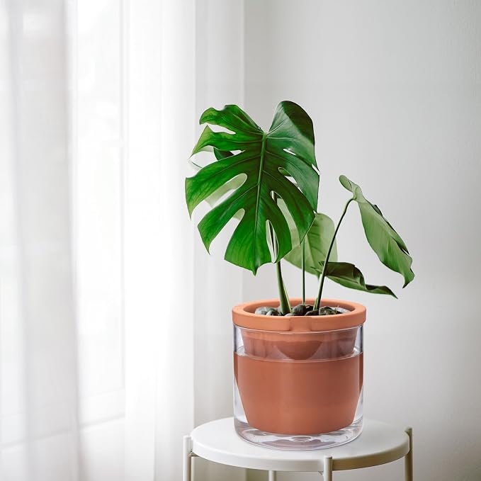 D'vine Dev 8 Inch Design Self Watering Pot - Image 6
