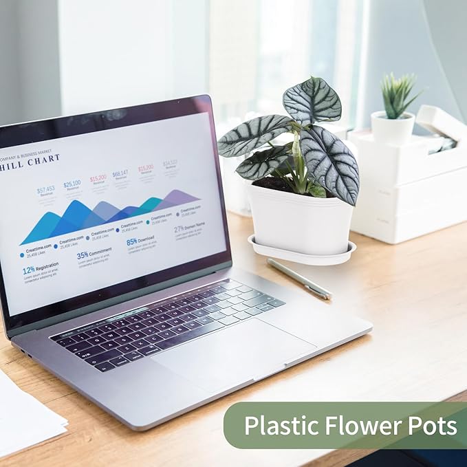 Windowsill Garden Pots, Succulents, African Violet - Image 8