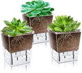 Self Watering Pots Set, 3 Pack 2.7 Inch Pots by IWNTWY