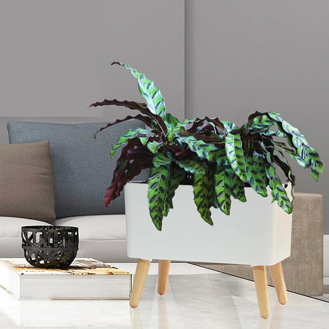 13.5 Inch Indoor Decorative Planter Pot - Image 6