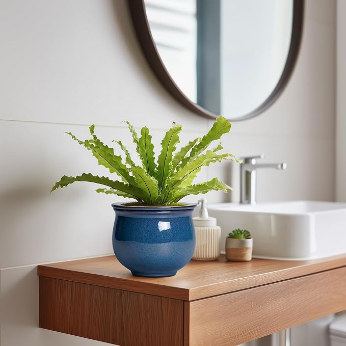 African Violet Pots, 6 Inch Ceramic Easy Self Watering Pots - Image 5