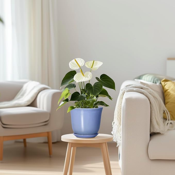 Ceramic Plant Pots - Image 3