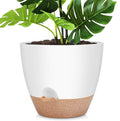12 Inch Large Self Watering Plant Pot Set, Flower Pots by AFamilyofGardenLovers
