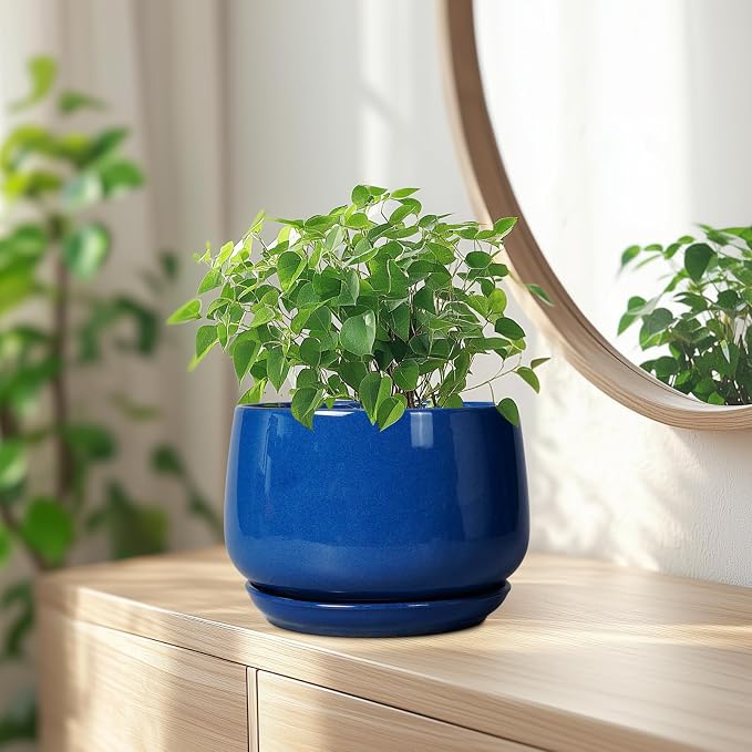 G EPGardening Round Ceramic Plant Pots - Image 6