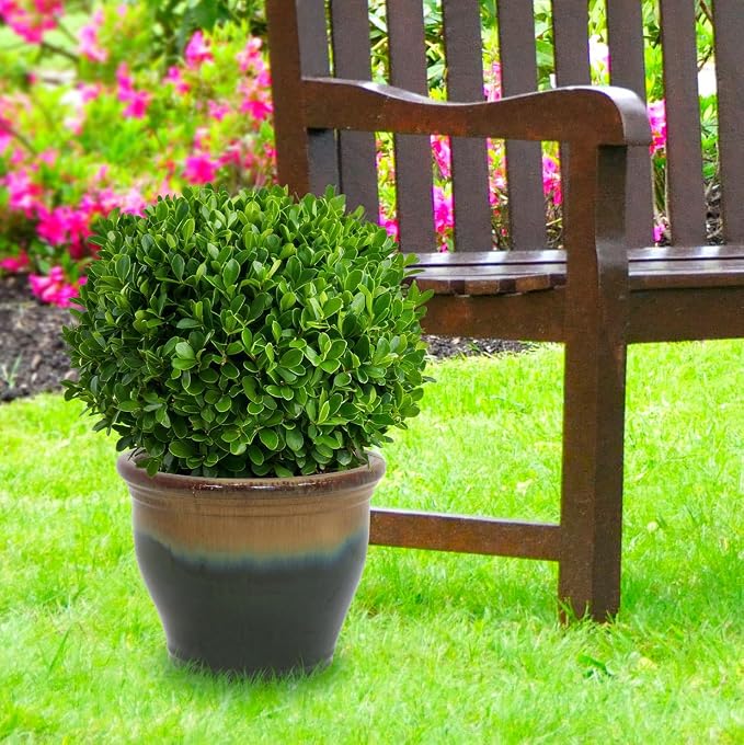 Sunnydaze Large Ceramic Plant Pot - Image 8