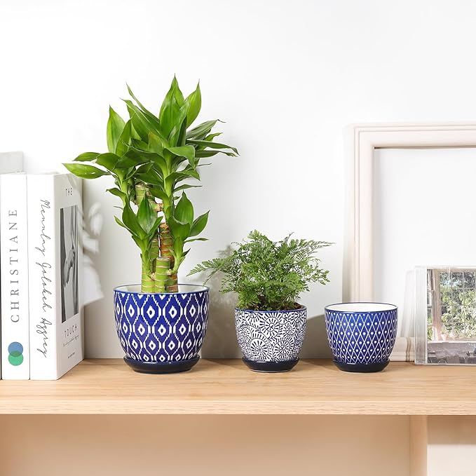 Selamica Ceramic Succulent Pots, 3.5 Inch Small Plant Pots - Image 5