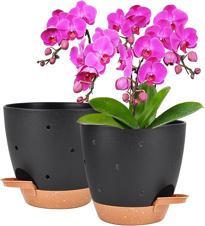 6 Inch Orchid Pots with Holes, 2 Pack Self Watering Planters by Vanslogreen