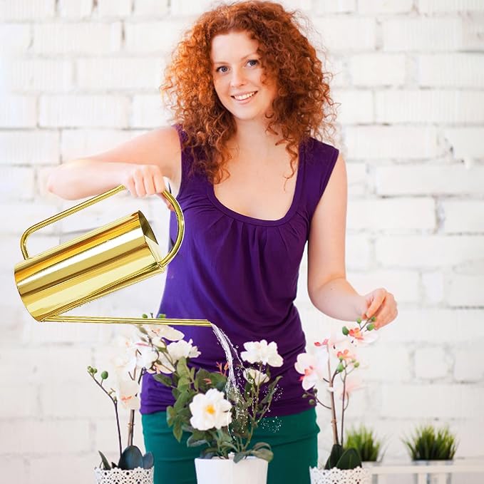 Watering Can for Indoor Plants, 50 oz/1.5L Stainless Steel Watering Can Pot - Image 6