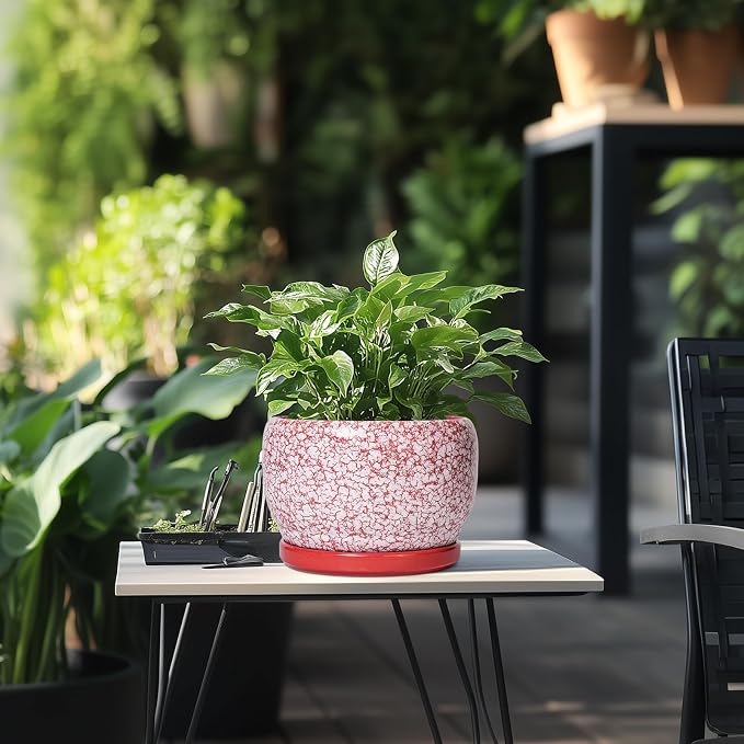 SQOWL Ceramic Pots for Plants - Image 5