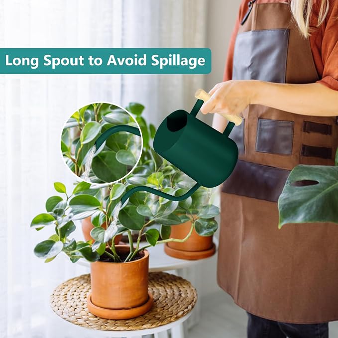 Watering Can Indoor Plants, 35oz Small Indoor Stainless Steel Metal Watering - Image 2