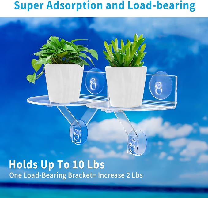 2-Pack Acrylic Window Plant Shelves - Image 4