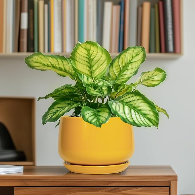 G EPGardening Ceramic Plant Pot - Image 6