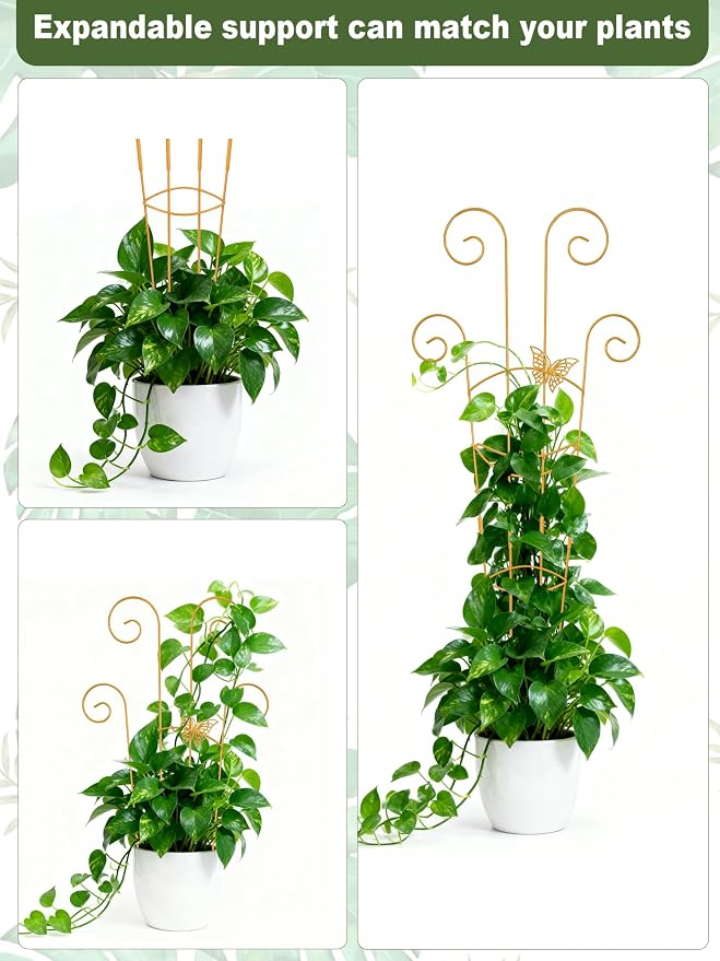 4Pcs Indoor Plant Trellis for Potted Plants, Houseplant Support Stakes for Ivy - Image 7