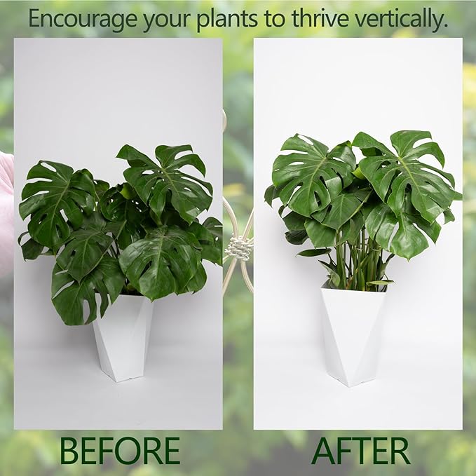6.5IN Monstera Plant Support Hook 5PCS Durable Stem Stabilizer - Image 3