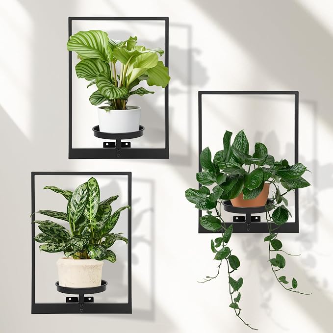 Wall Planters for Indoor Plants, Window Plant Shelves Set of 3, Wall Plant by STORENIZATION
