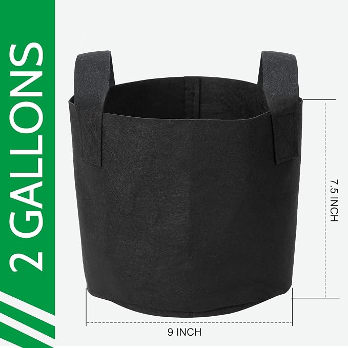 JERIA 12-Pack 2 Gallon Grow Bags, 300G Thickened Nonwoven Garden Pots, Heavy - Image 2