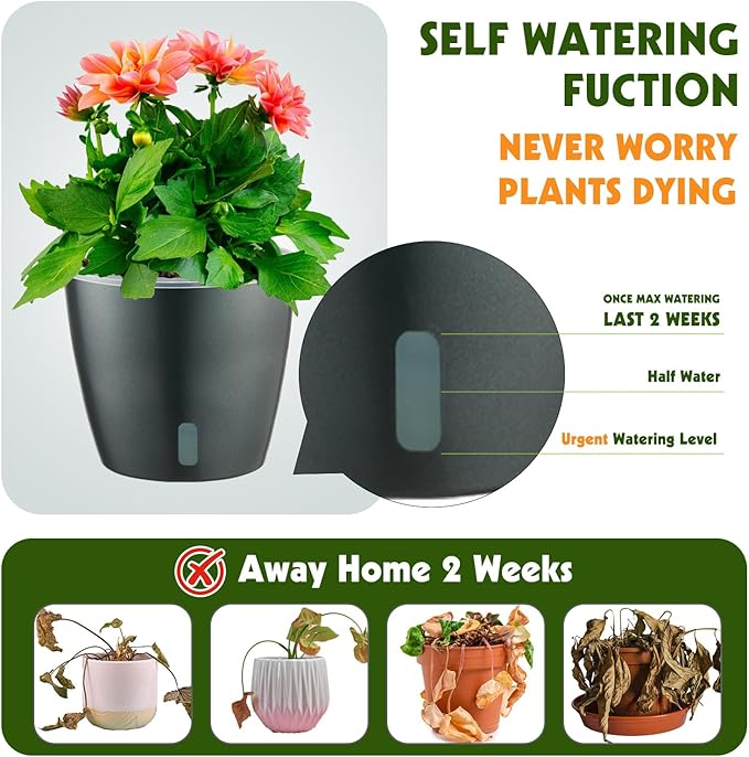 Self Watering Pots for Indoor Plants, Small African Violet Pots - Image 3