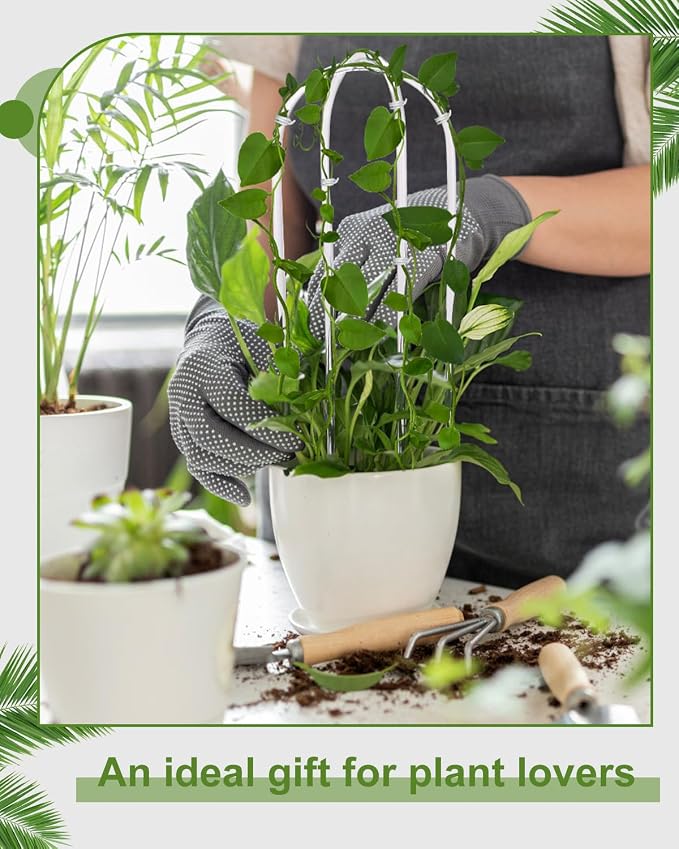 3 Pack Larger Acrylic U-Shaped Hoya Trellis, 16 Inch Indoor Climbing Plant - Image 5