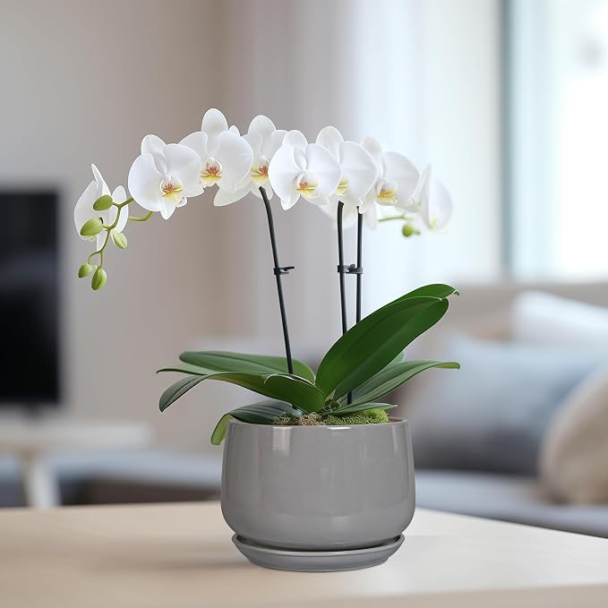 G EPGardening Ceramic Pot for Plants - Image 5