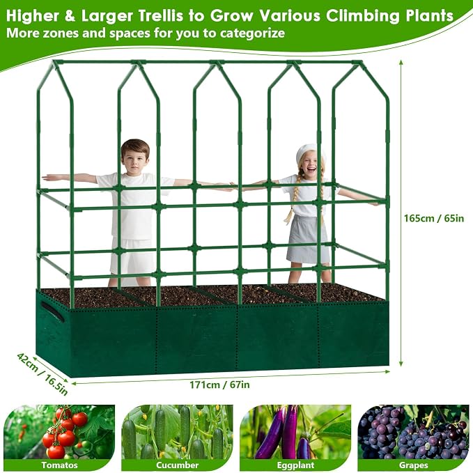 Large Cucumber Trellis for Climbing Plants - Image 2