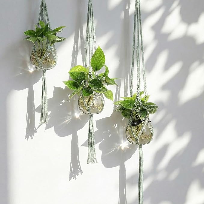 6 Pcs Plastic Plant Propagation - Image 3