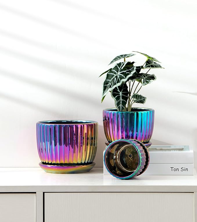 Ton Sin Flower Pots, Small Glazed Succulent Pots - Image 7