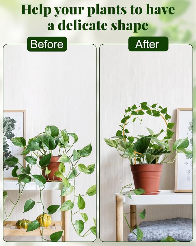 Unique Round Hoya Trellis, Garden Trellis Plant Support - Image 5