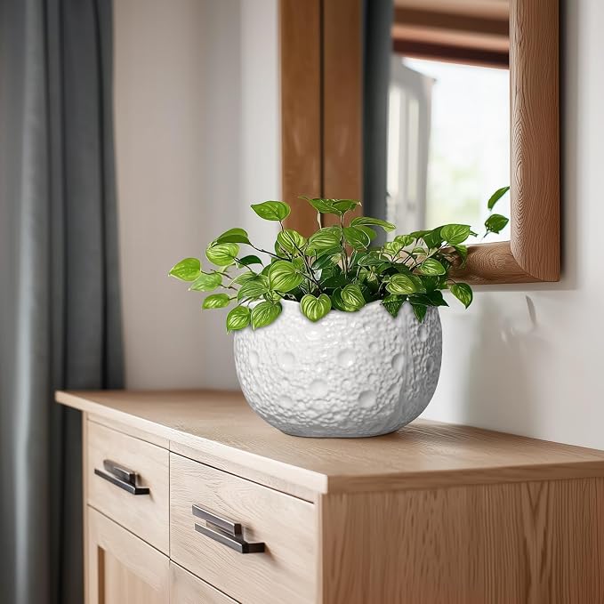Ceramic Plant Pot - Image 7