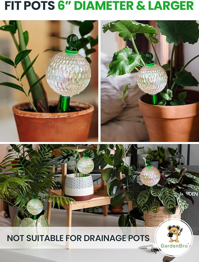 3pcs 16 Oz Plant Watering Globes - Image 5