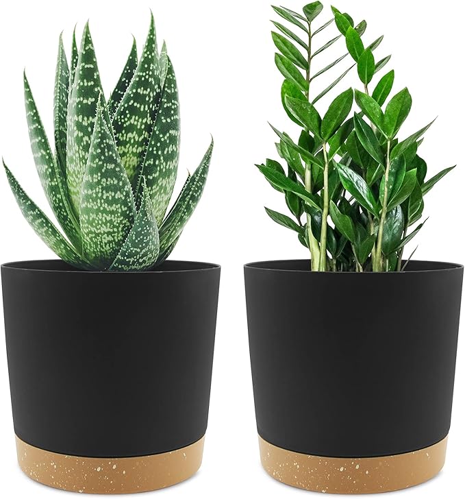 QCQHDU 6.5 inch Plant Pot, 2 Pack Planters by QCQHDU