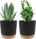 QCQHDU 6.5 inch Plant Pot, 2 Pack Planters by QCQHDU