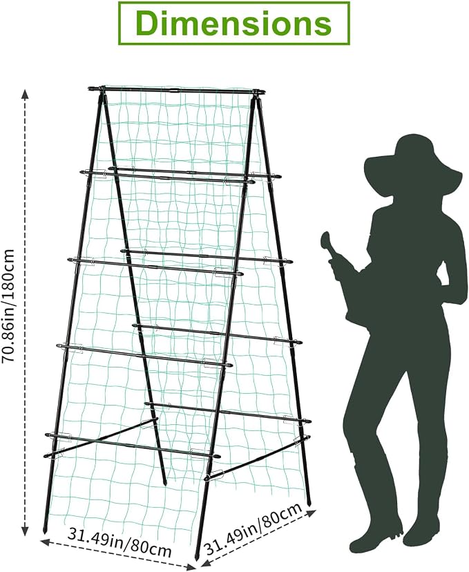 Garden Trellis for Climbing Plants, - Image 4