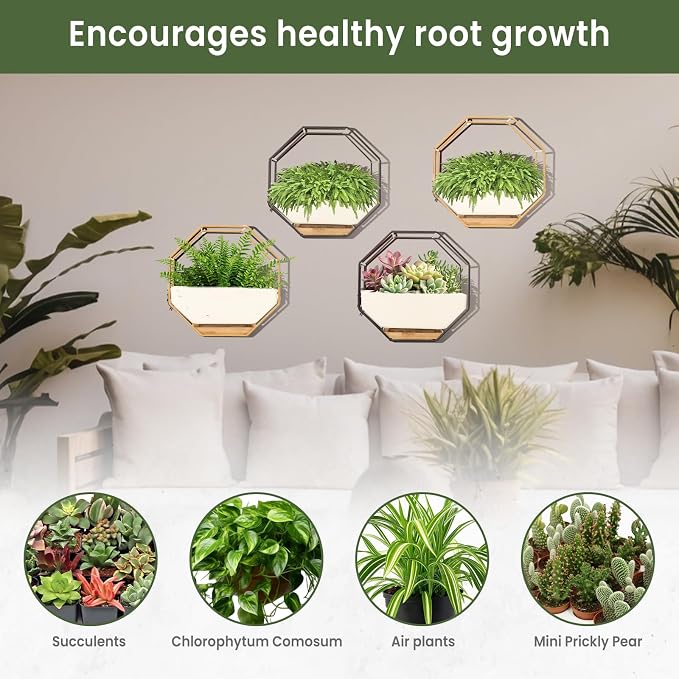 IRYL Wall Planter for Indoor Plants - Image 4