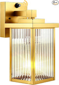 1 Pack Dusk to Dawn Outdoor Lighting, Waterproof Outdoor Porch Light by hameso