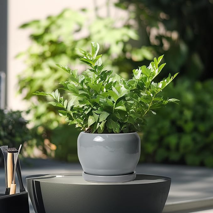 SQOWL 6 Inch Plant Pots - Image 4