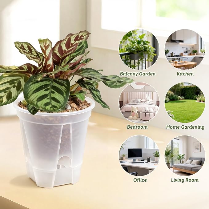 Clear Self Watering Pots for Indoor Plants - Image 5