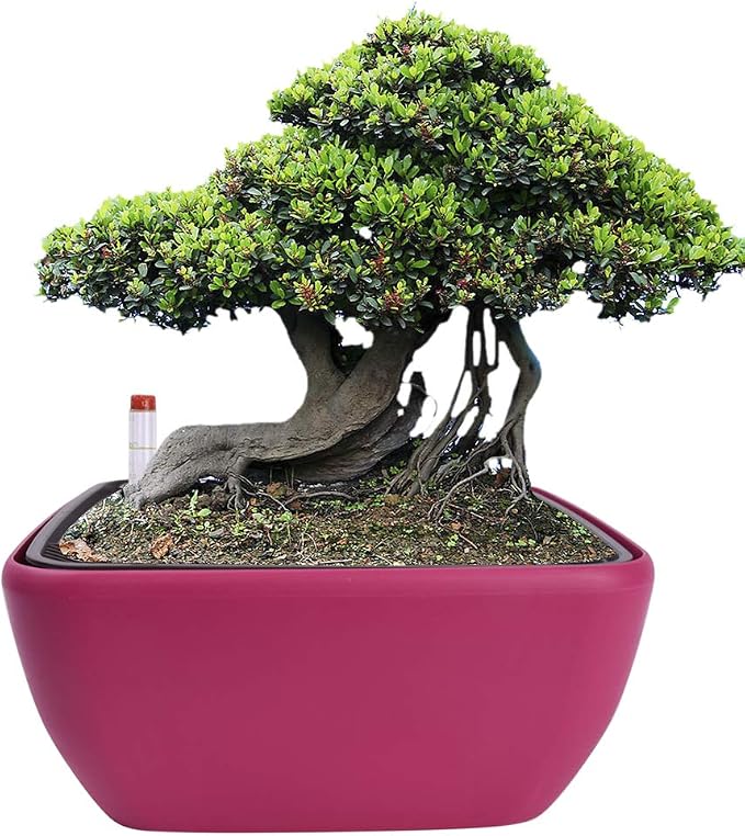 Vencer 10.8 Inch Plastic Square Self Watering Planter, Water Indicator - Image 4