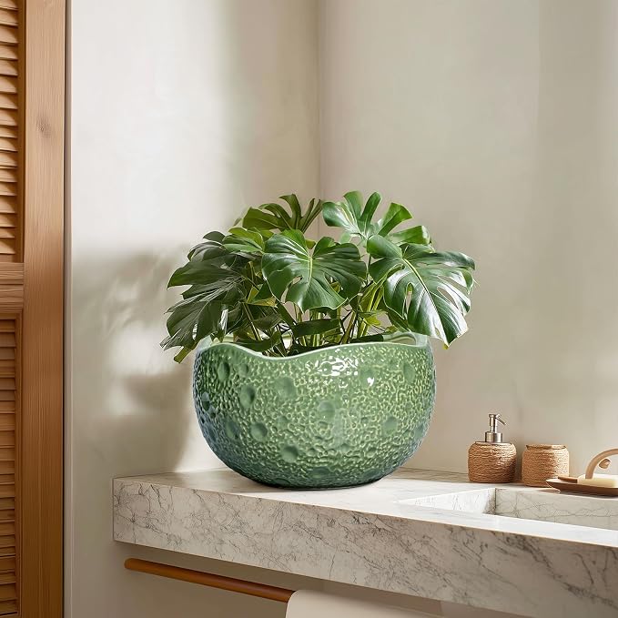 Ceramic Pots for Plants - Image 7