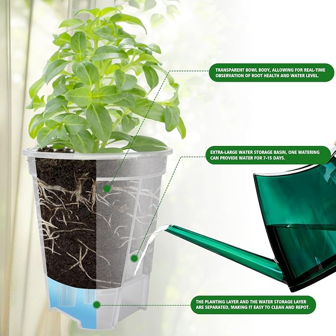 Cdd's Path Large Naked Root Planter Self Watering Pots Set - Image 3