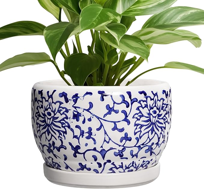 SQOWL Ceramic Pots for Plants by SQOWL