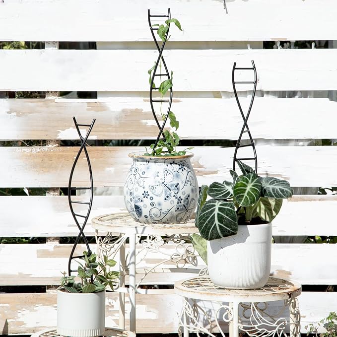 DNA Spiral Plant Trellis Indoor - Image 6