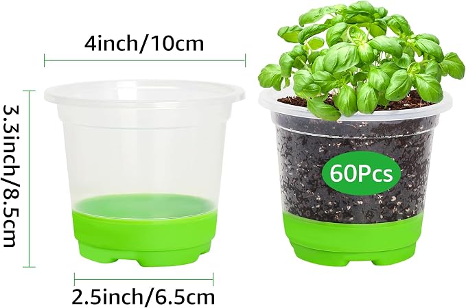 MIXC Thickened Clear Nursery Pots - Image 2