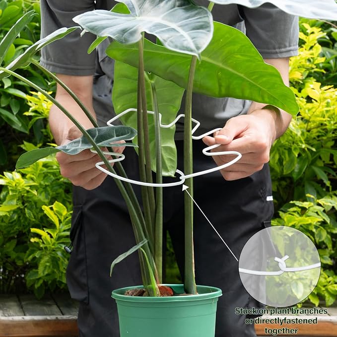 5PCS Monstera Plant Stem Support White 9 * 7.6in - Image 4