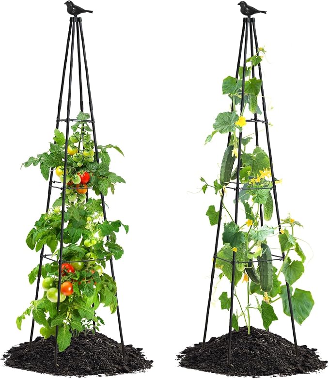 Cucumber Trellis, 2 Pack by follook