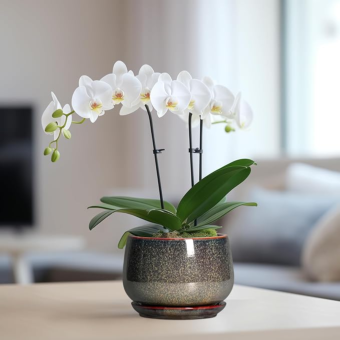 G EPGardening 6 Inch Plant Pot - Image 5