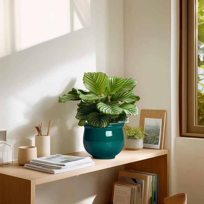 6 Inch Self Watering Plant Pots, Ceramic African Violet Pot - Image 7