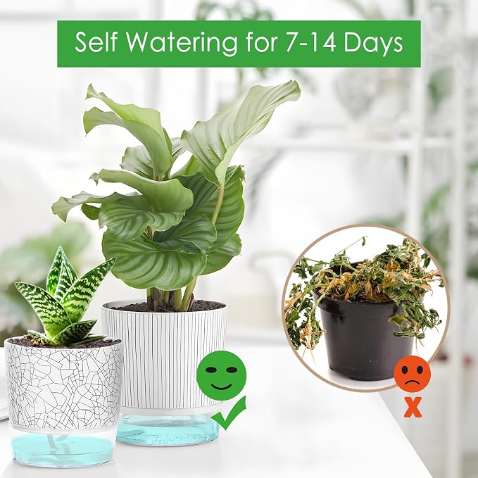 4 Pack Self Watering Pots for Indoor Plants, 4/5.5 Inch Lightweight Planters - Image 4